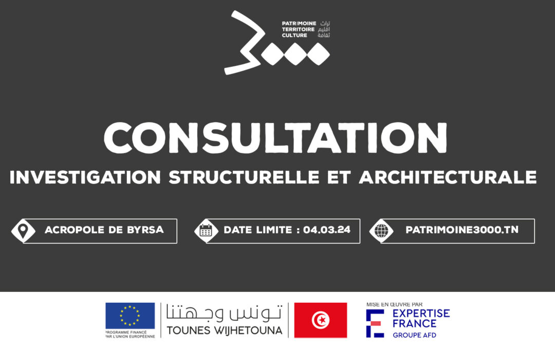 Consultation, investigation structurelle et architecturale